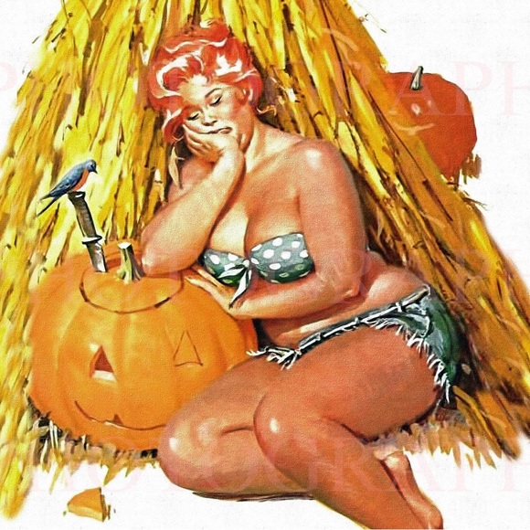 A little more ‘HILDA’ - Picture 7 of 16